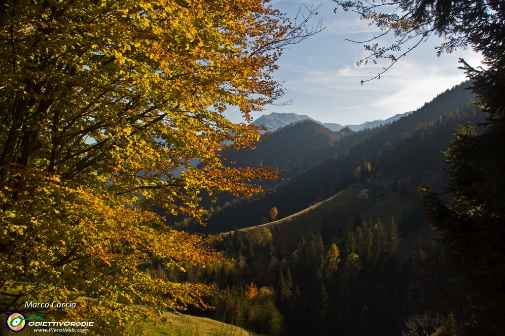 37_Autunno in val d'inferno.JPG